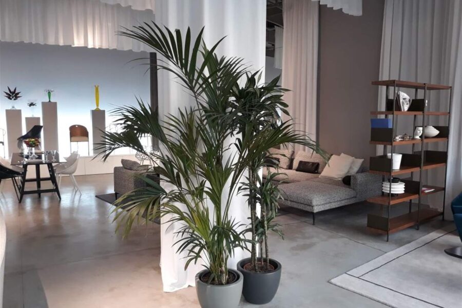 DRIADE OPENED ITS NEW FLAGSHIP STORE IN DUBAI