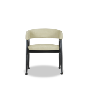 Corinne_Chair_NabuckLichen_Fronte_R