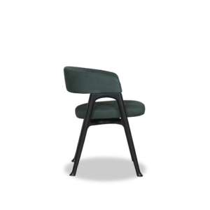 Corinne_Chair_NabuckWood_Fianco_R